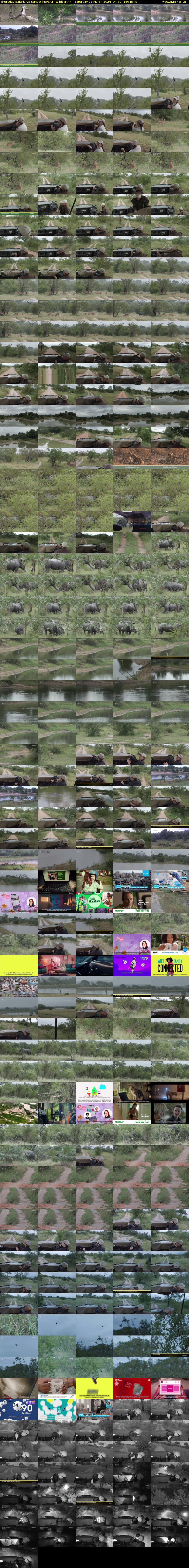 Thursday SafariLIVE Sunset REPEAT (WildEarth) Saturday 23 March 2024 04:30 - 07:30