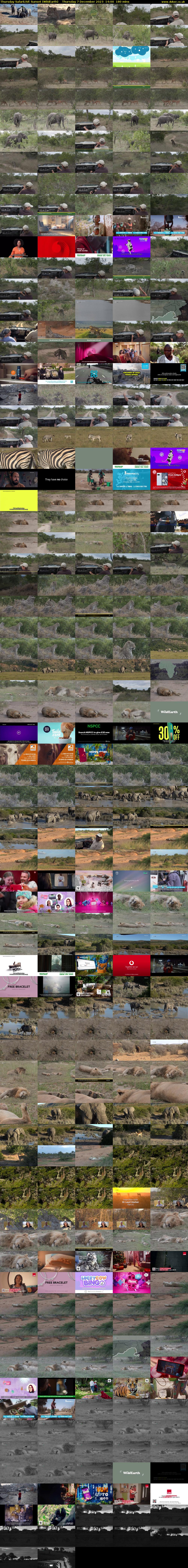 Thursday SafariLIVE Sunset (WildEarth) Thursday 7 December 2023 14:00 - 17:00