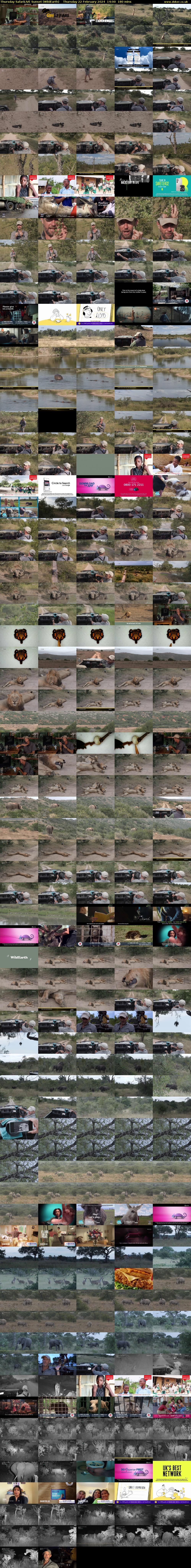 Thursday SafariLIVE Sunset (WildEarth) Thursday 22 February 2024 14:00 - 17:00