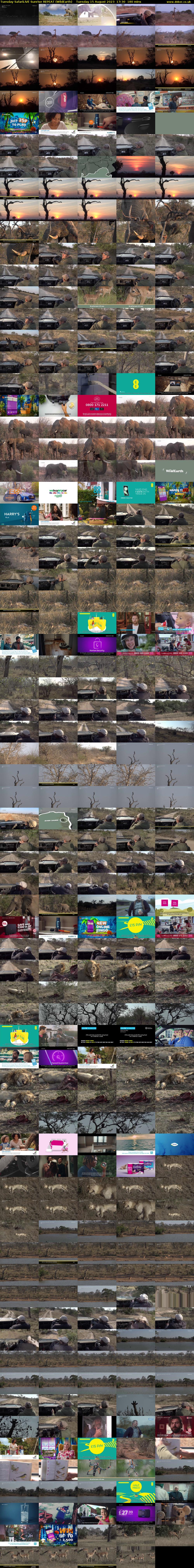 Tuesday SafariLIVE Sunrise REPEAT (WildEarth) Tuesday 15 August 2023 17:30 - 20:30