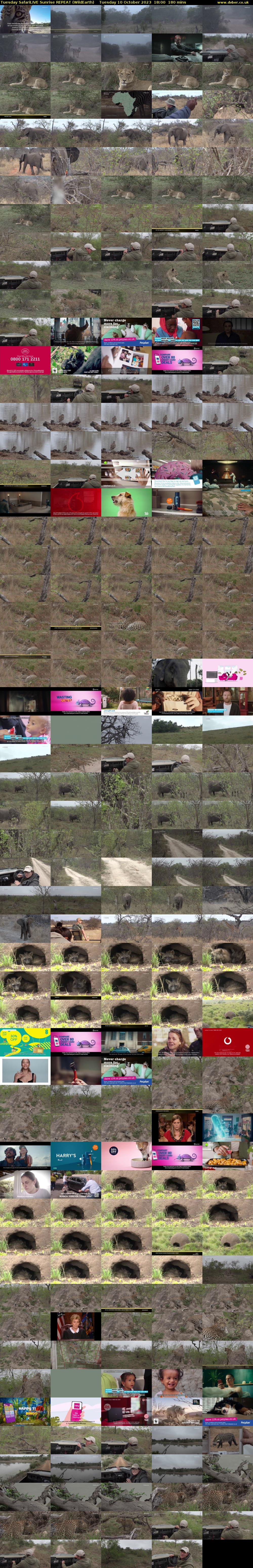 Tuesday SafariLIVE Sunrise REPEAT (WildEarth) Tuesday 10 October 2023 18:00 - 21:00