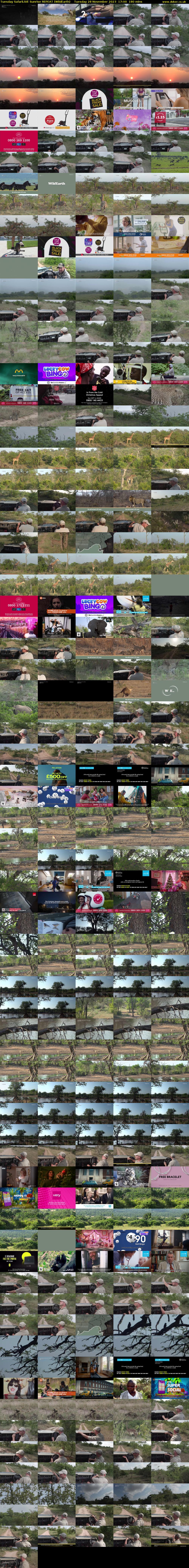 Tuesday SafariLIVE Sunrise REPEAT (WildEarth) Tuesday 28 November 2023 17:00 - 20:00