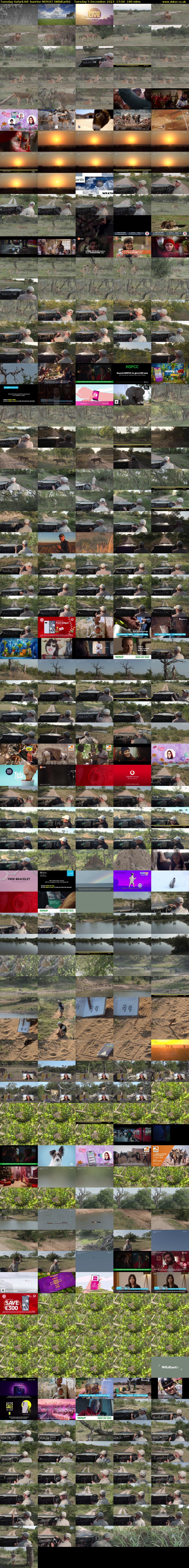 Tuesday SafariLIVE Sunrise REPEAT (WildEarth) Tuesday 5 December 2023 17:00 - 20:00