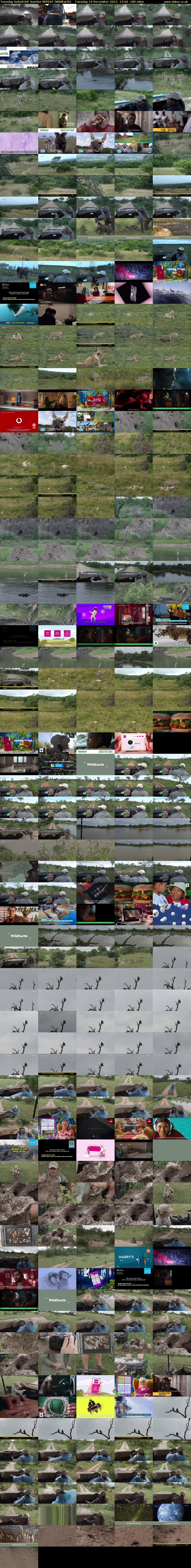 Tuesday SafariLIVE Sunrise REPEAT (WildEarth) Tuesday 19 December 2023 17:00 - 20:00