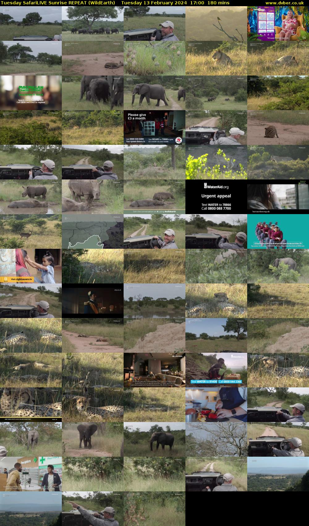 Tuesday SafariLIVE Sunrise REPEAT (WildEarth) Tuesday 13 February 2024 17:00 - 20:00