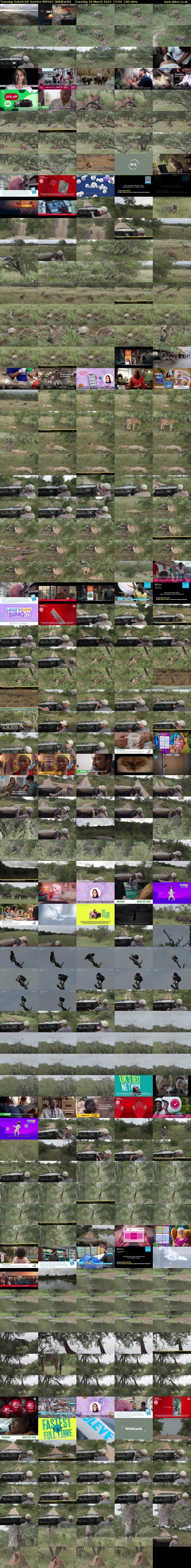 Tuesday SafariLIVE Sunrise REPEAT (WildEarth) Tuesday 26 March 2024 17:00 - 20:00