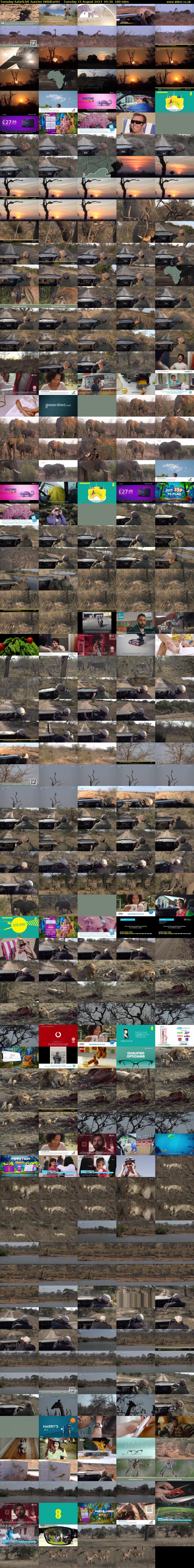 Tuesday SafariLIVE Sunrise (WildEarth) Tuesday 15 August 2023 05:30 - 08:30