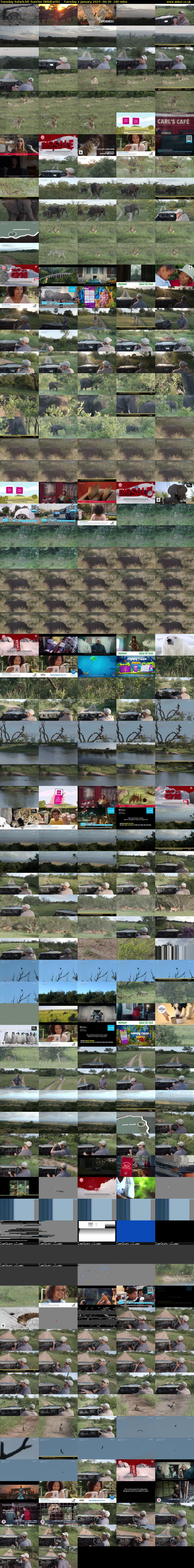 Tuesday SafariLIVE Sunrise (WildEarth) Tuesday 2 January 2024 06:30 - 09:30