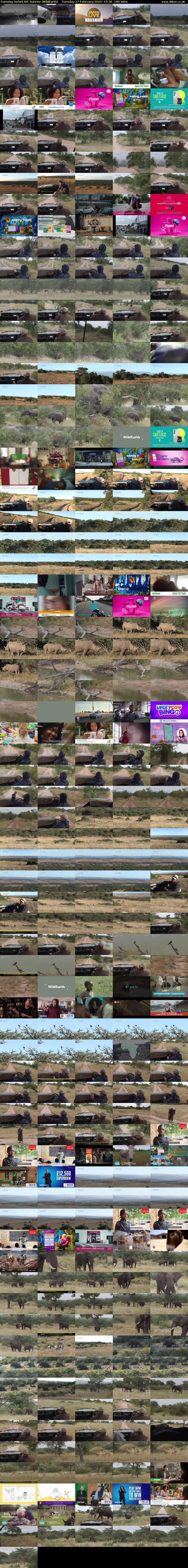 Tuesday SafariLIVE Sunrise (WildEarth) Tuesday 27 February 2024 07:30 - 10:30