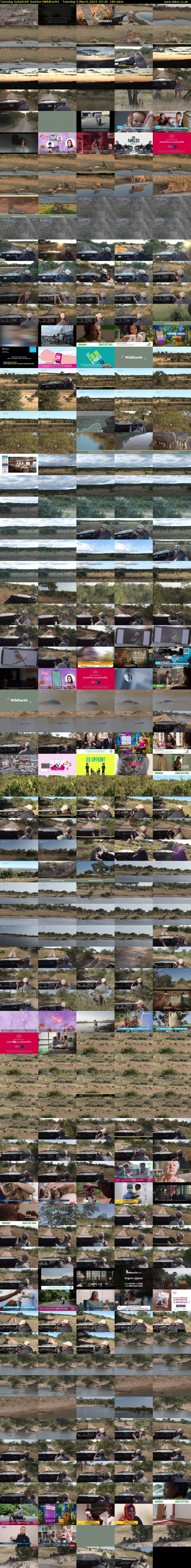 Tuesday SafariLIVE Sunrise (WildEarth) Tuesday 5 March 2024 07:30 - 10:30