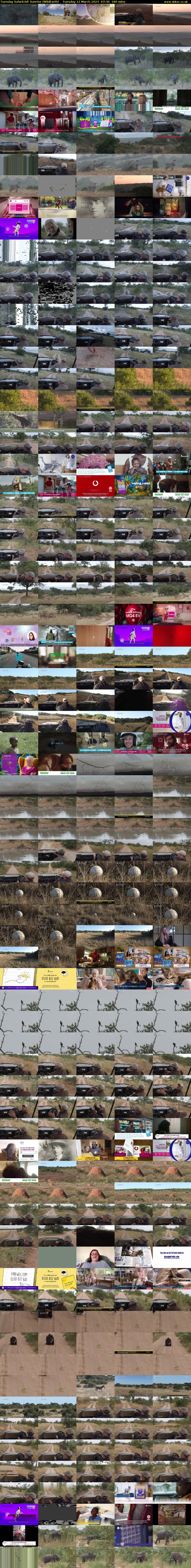 Tuesday SafariLIVE Sunrise (WildEarth) Tuesday 12 March 2024 07:30 - 10:30