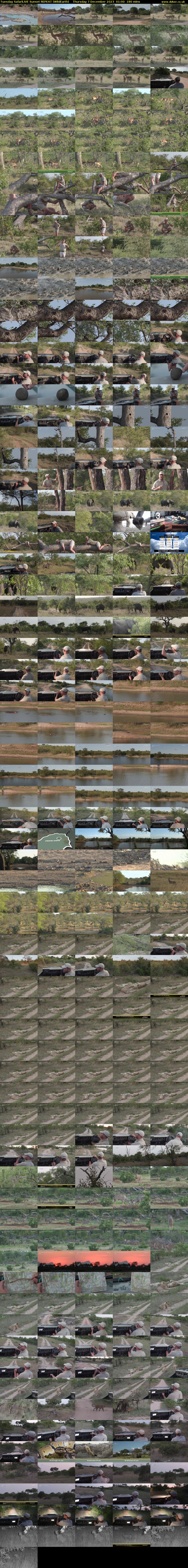 Tuesday SafariLIVE Sunset REPEAT (WildEarth) Thursday 7 December 2023 01:00 - 04:00