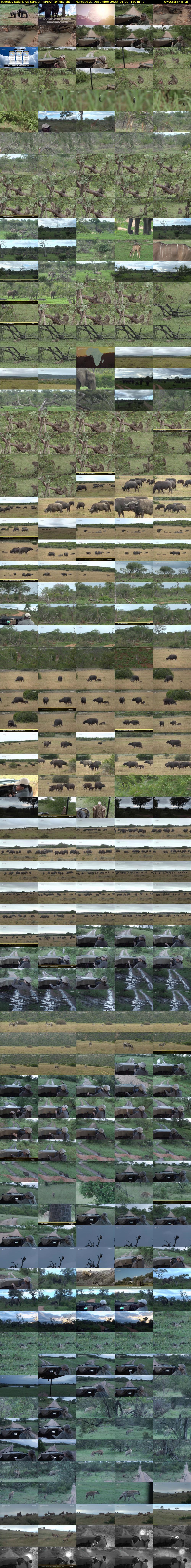 Tuesday SafariLIVE Sunset REPEAT (WildEarth) Thursday 21 December 2023 01:00 - 04:00