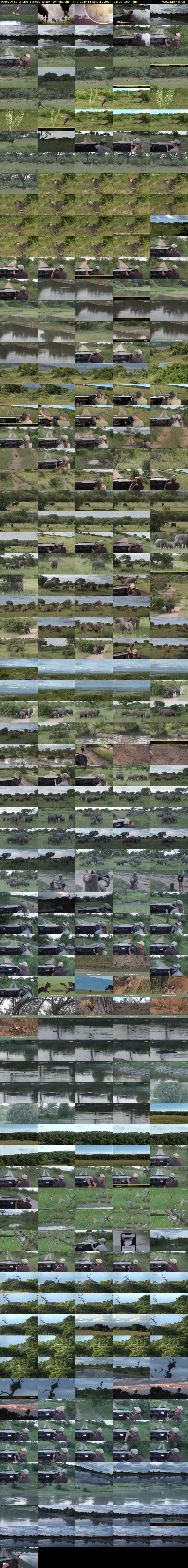 Tuesday SafariLIVE Sunset REPEAT (WildEarth) Thursday 11 January 2024 01:00 - 04:00