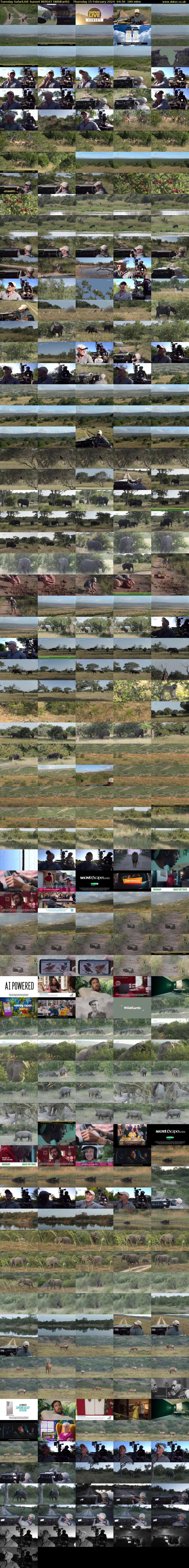 Tuesday SafariLIVE Sunset REPEAT (WildEarth) Thursday 15 February 2024 04:30 - 07:30