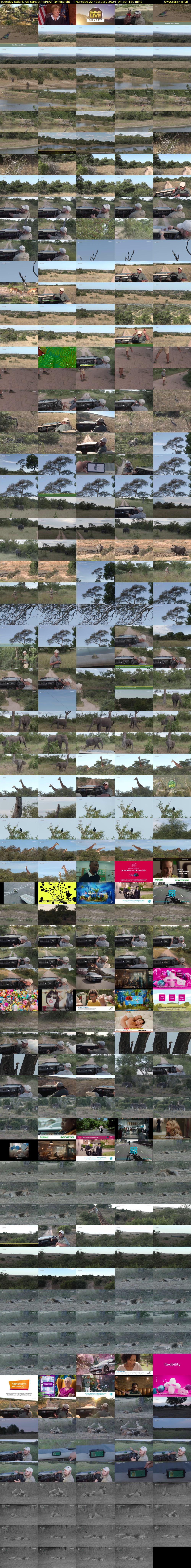Tuesday SafariLIVE Sunset REPEAT (WildEarth) Thursday 22 February 2024 04:30 - 07:30