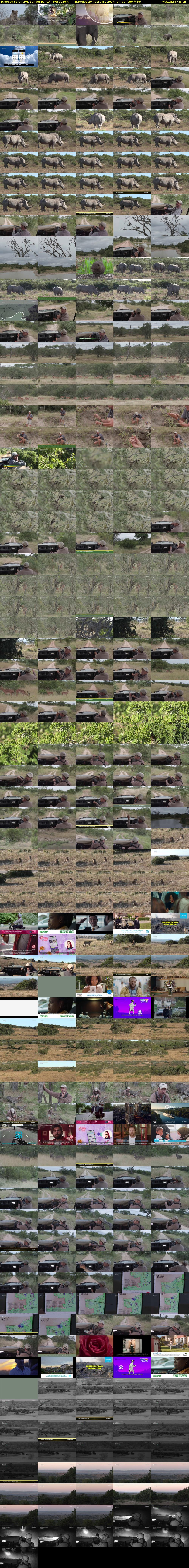 Tuesday SafariLIVE Sunset REPEAT (WildEarth) Thursday 29 February 2024 04:30 - 07:30