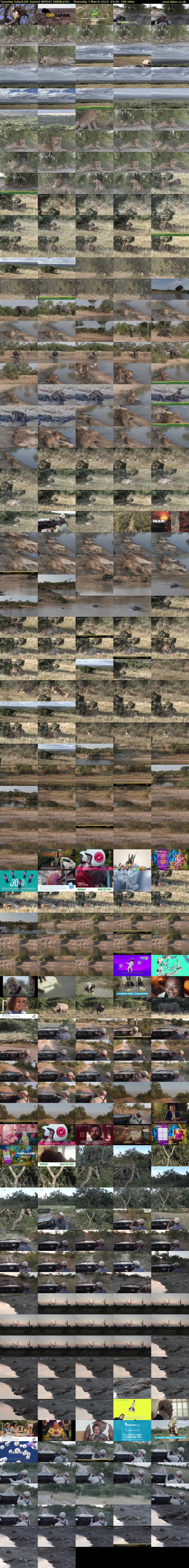 Tuesday SafariLIVE Sunset REPEAT (WildEarth) Thursday 7 March 2024 04:30 - 07:30