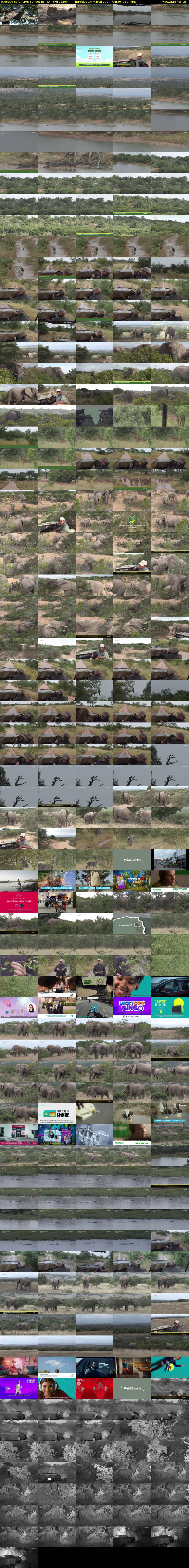 Tuesday SafariLIVE Sunset REPEAT (WildEarth) Thursday 14 March 2024 04:30 - 07:30
