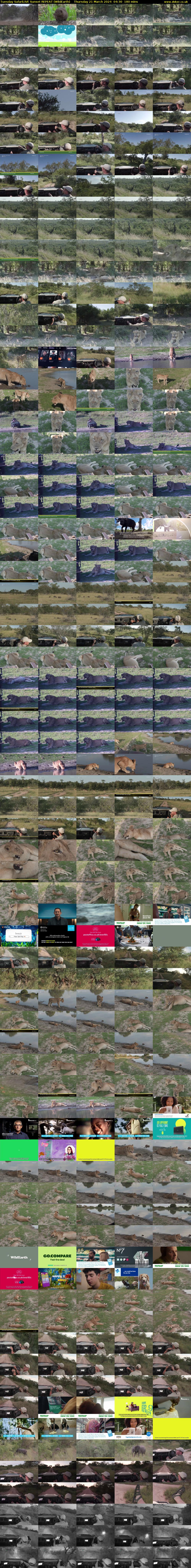 Tuesday SafariLIVE Sunset REPEAT (WildEarth) Thursday 21 March 2024 04:30 - 07:30