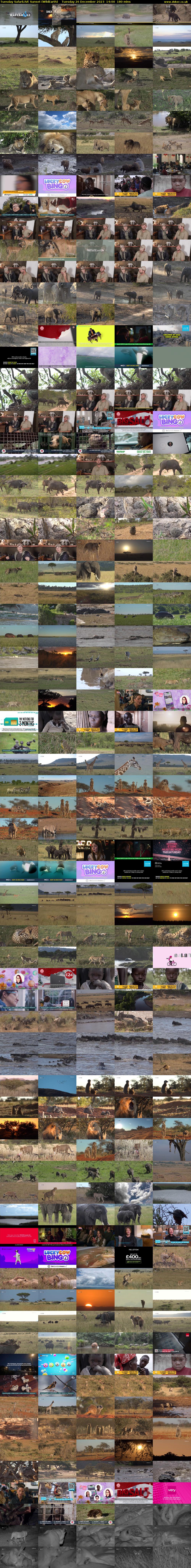 Tuesday SafariLIVE Sunset (WildEarth) Tuesday 26 December 2023 14:00 - 17:00