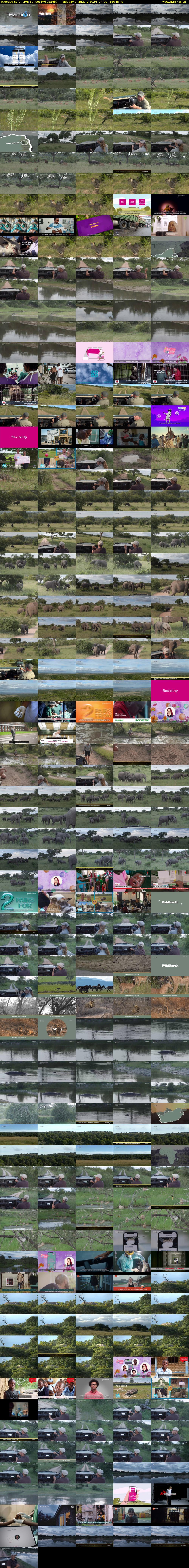 Tuesday SafariLIVE Sunset (WildEarth) Tuesday 9 January 2024 14:00 - 17:00