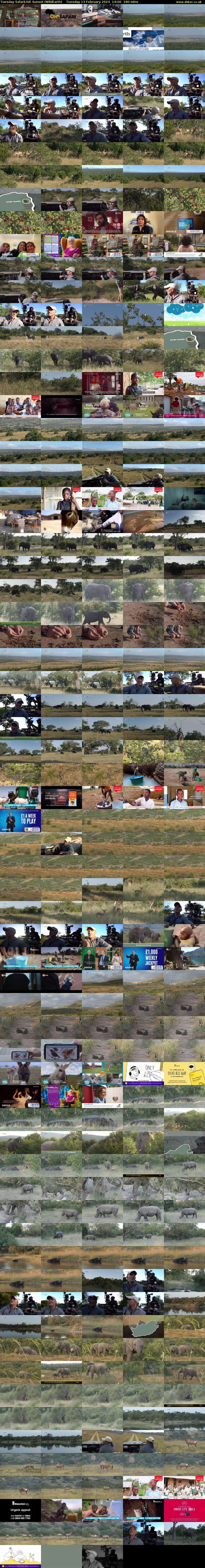 Tuesday SafariLIVE Sunset (WildEarth) Tuesday 13 February 2024 14:00 - 17:00