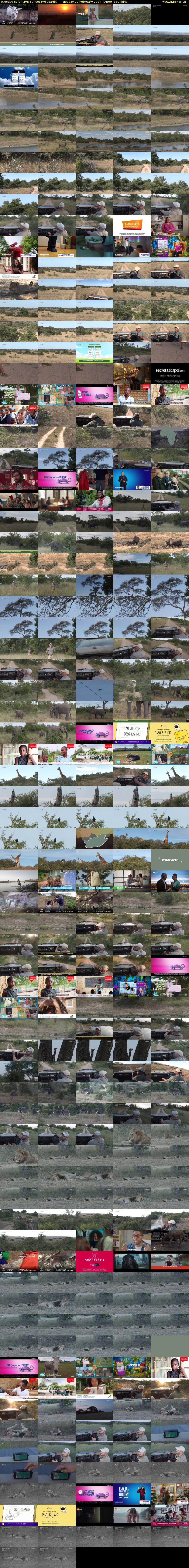 Tuesday SafariLIVE Sunset (WildEarth) Tuesday 20 February 2024 14:00 - 17:00