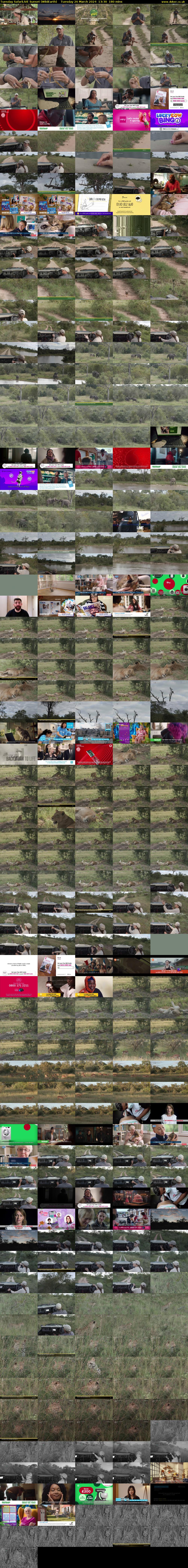 Tuesday SafariLIVE Sunset (WildEarth) Tuesday 26 March 2024 13:30 - 16:30