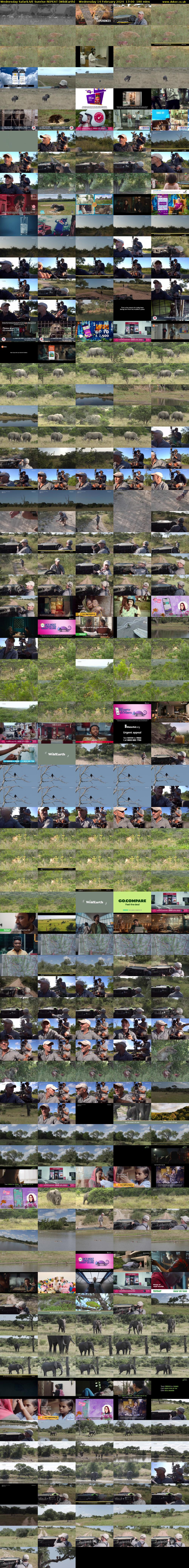 Wednesday SafariLIVE Sunrise REPEAT (WildEarth) Wednesday 14 February 2024 17:00 - 20:00