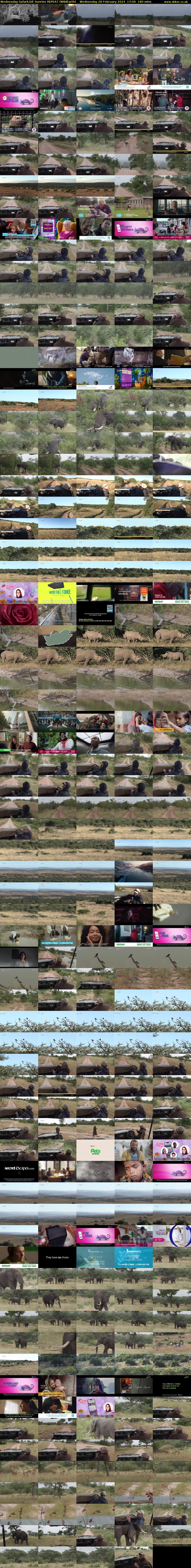Wednesday SafariLIVE Sunrise REPEAT (WildEarth) Wednesday 28 February 2024 17:00 - 20:00