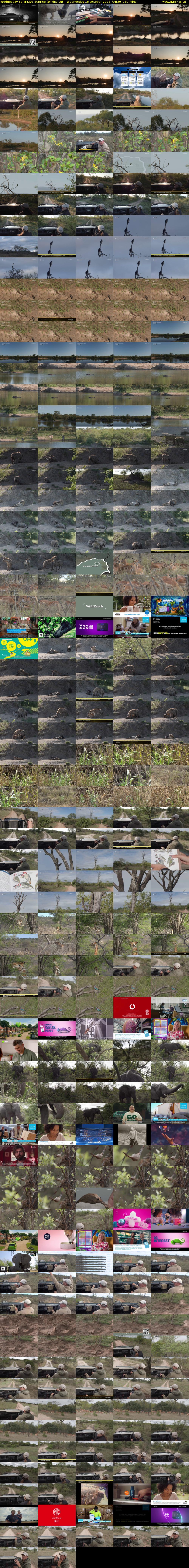 Wednesday SafariLIVE Sunrise (WildEarth) Wednesday 18 October 2023 04:30 - 07:30