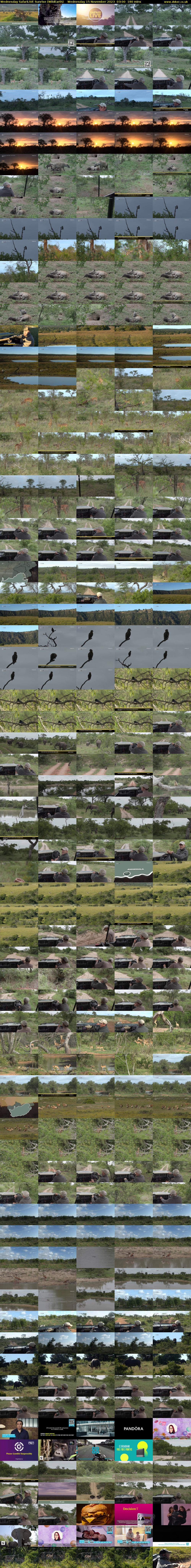 Wednesday SafariLIVE Sunrise (WildEarth) Wednesday 15 November 2023 03:00 - 06:00
