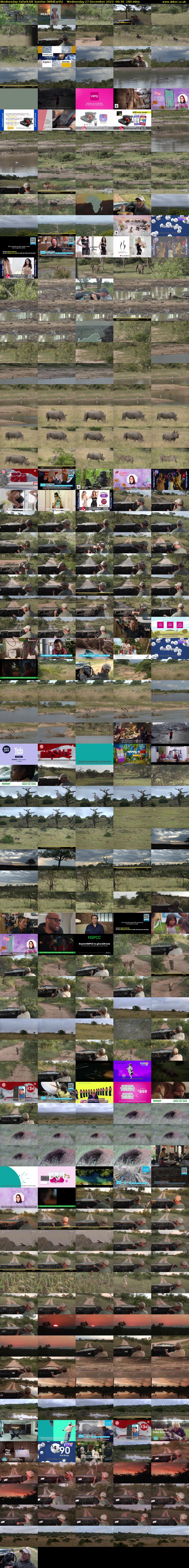 Wednesday SafariLIVE Sunrise (WildEarth) Wednesday 27 December 2023 06:30 - 09:30