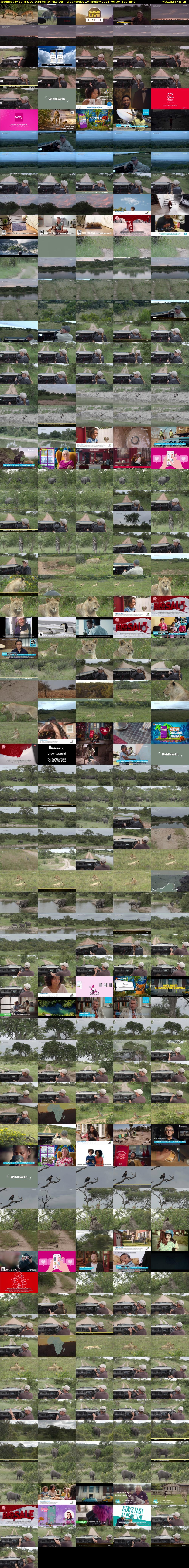 Wednesday SafariLIVE Sunrise (WildEarth) Wednesday 10 January 2024 06:30 - 09:30