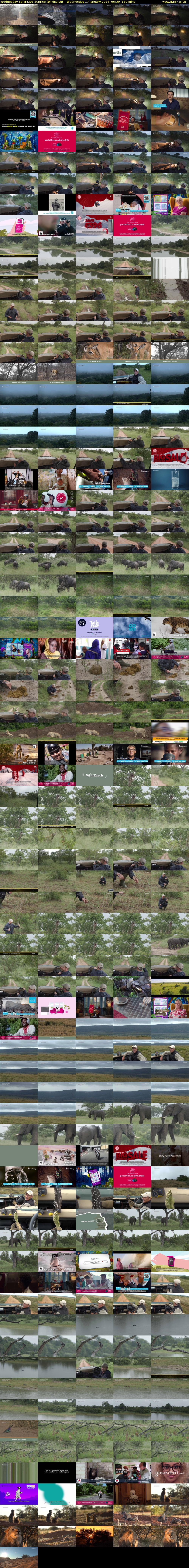 Wednesday SafariLIVE Sunrise (WildEarth) Wednesday 17 January 2024 06:30 - 09:30