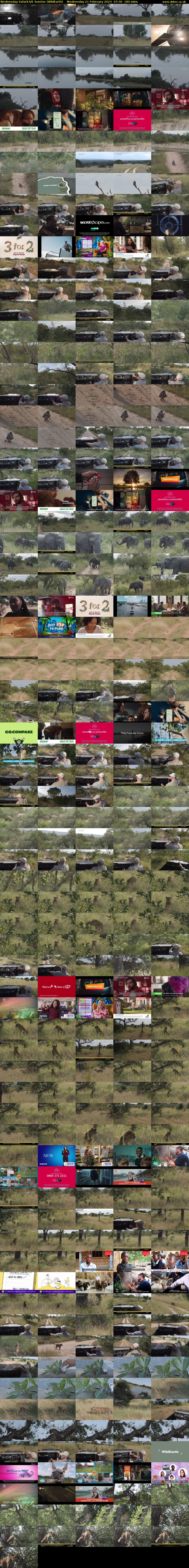 Wednesday SafariLIVE Sunrise (WildEarth) Wednesday 21 February 2024 07:30 - 10:30