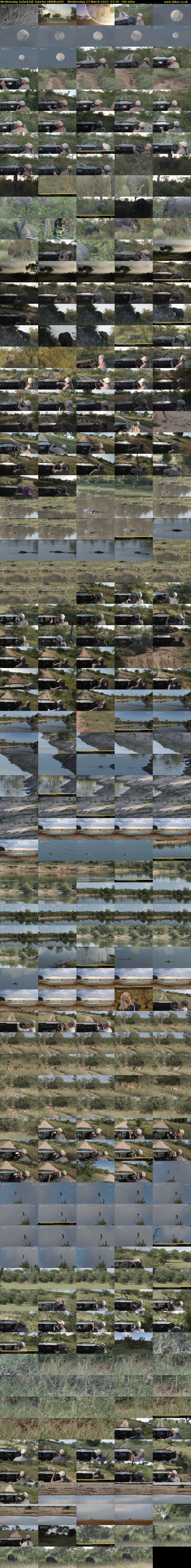 Wednesday SafariLIVE Sunrise (WildEarth) Wednesday 27 March 2024 07:30 - 10:30