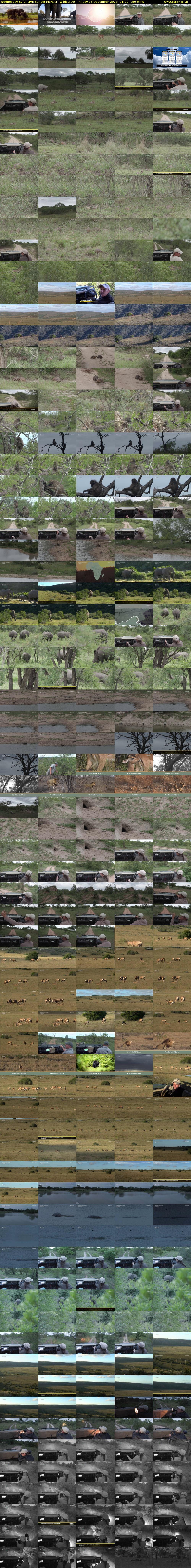 Wednesday SafariLIVE Sunset REPEAT (WildEarth) Friday 15 December 2023 01:00 - 04:00