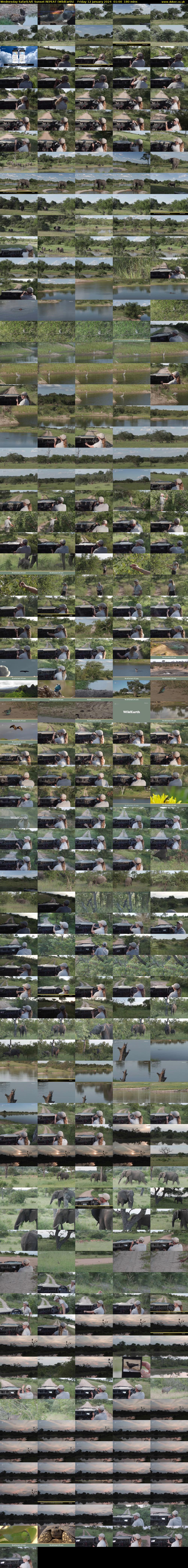 Wednesday SafariLIVE Sunset REPEAT (WildEarth) Friday 12 January 2024 01:00 - 04:00