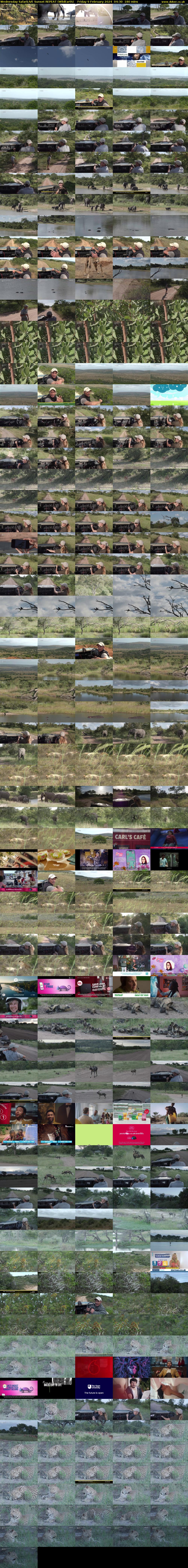 Wednesday SafariLIVE Sunset REPEAT (WildEarth) Friday 9 February 2024 04:30 - 07:30