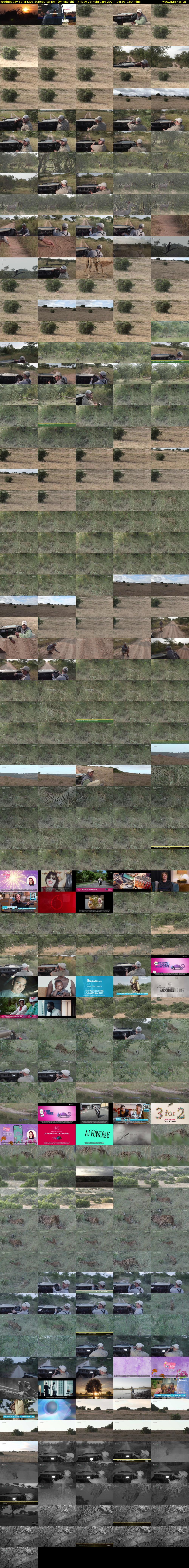 Wednesday SafariLIVE Sunset REPEAT (WildEarth) Friday 23 February 2024 04:30 - 07:30