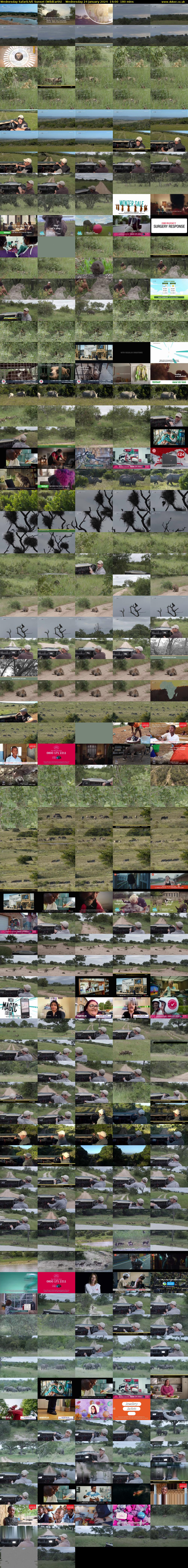 Wednesday SafariLIVE Sunset (WildEarth) Wednesday 24 January 2024 14:00 - 17:00