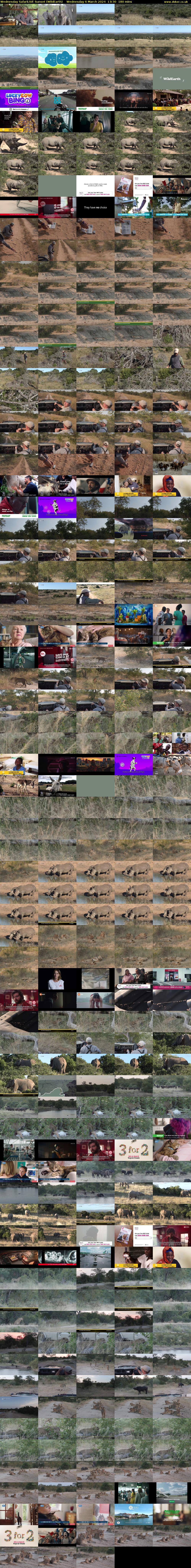 Wednesday SafariLIVE Sunset (WildEarth) Wednesday 6 March 2024 13:30 - 16:30