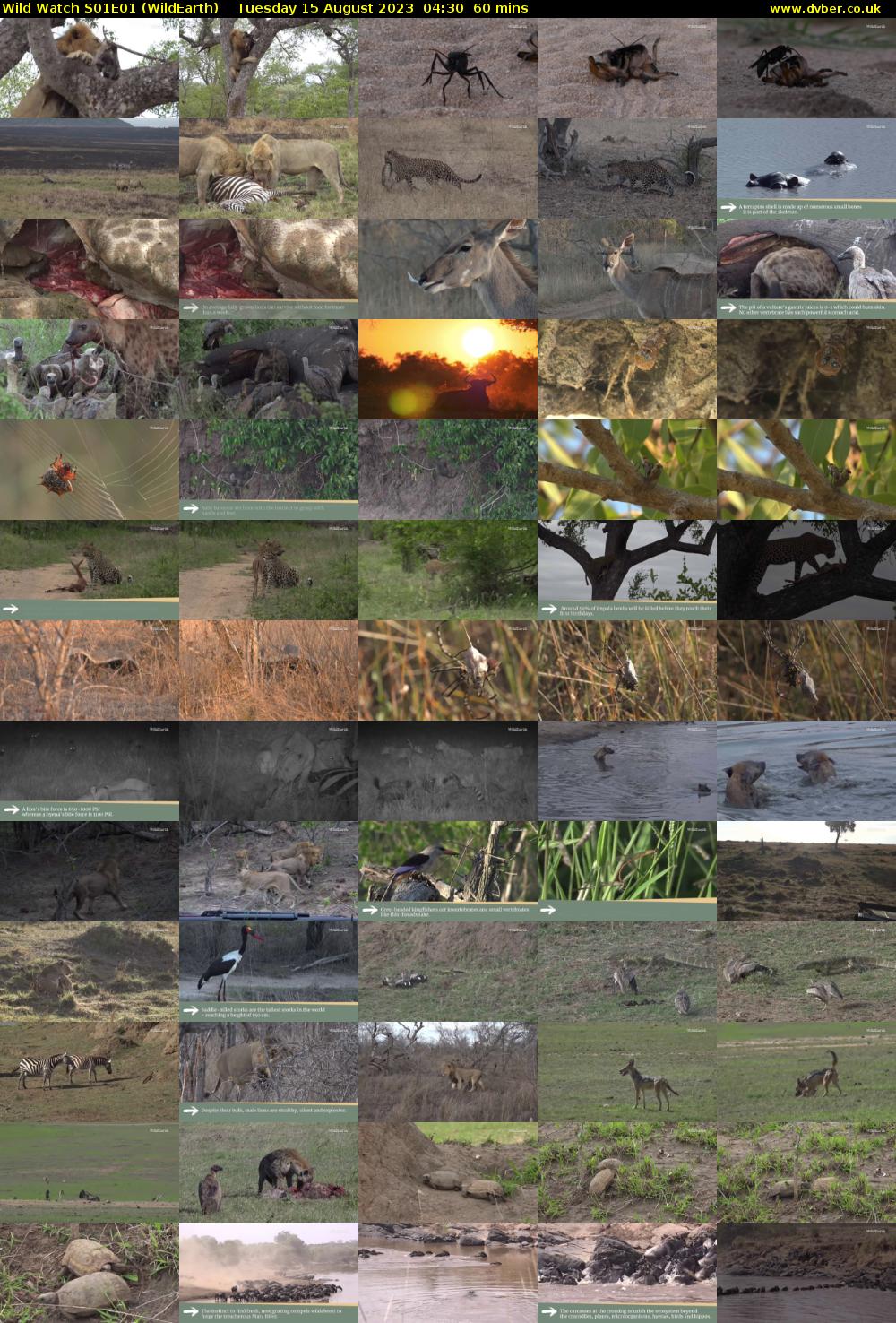 Wild Watch S01E01 (WildEarth) Tuesday 15 August 2023 04:30 - 05:30