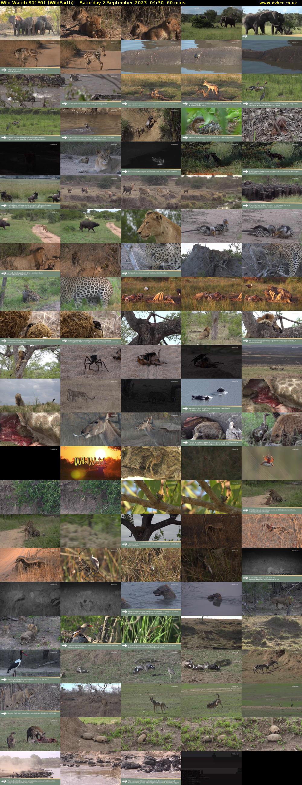 Wild Watch S01E01 (WildEarth) Saturday 2 September 2023 04:30 - 05:30