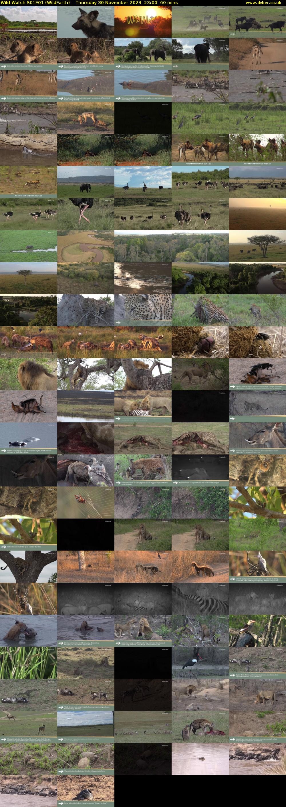 Wild Watch S01E01 (WildEarth) Thursday 30 November 2023 23:00 - 00:00