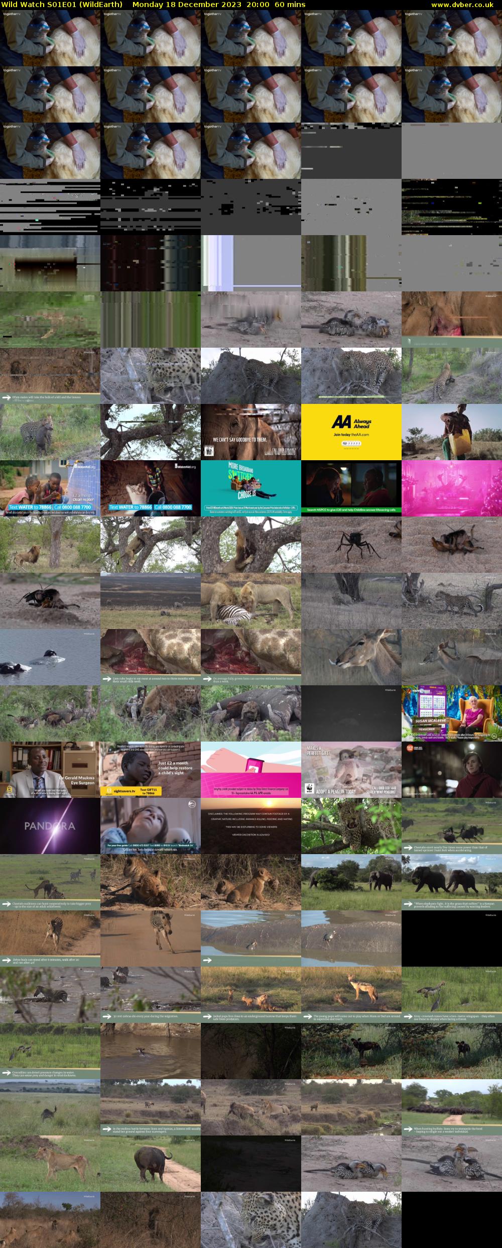 Wild Watch S01E01 (WildEarth) Monday 18 December 2023 20:00 - 21:00