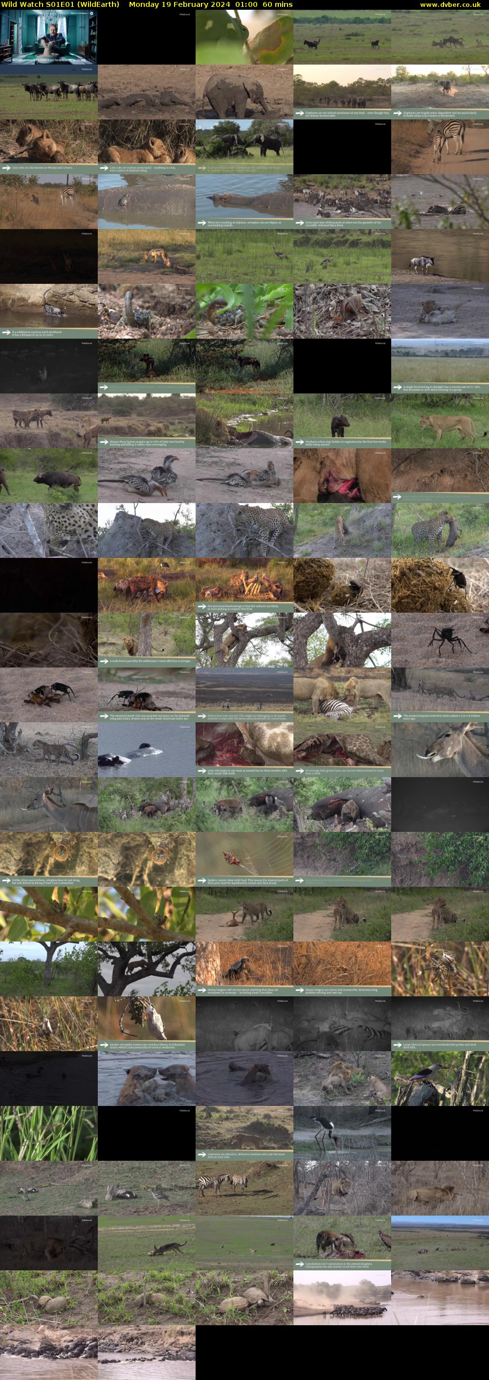 Wild Watch S01E01 (WildEarth) Monday 19 February 2024 01:00 - 02:00