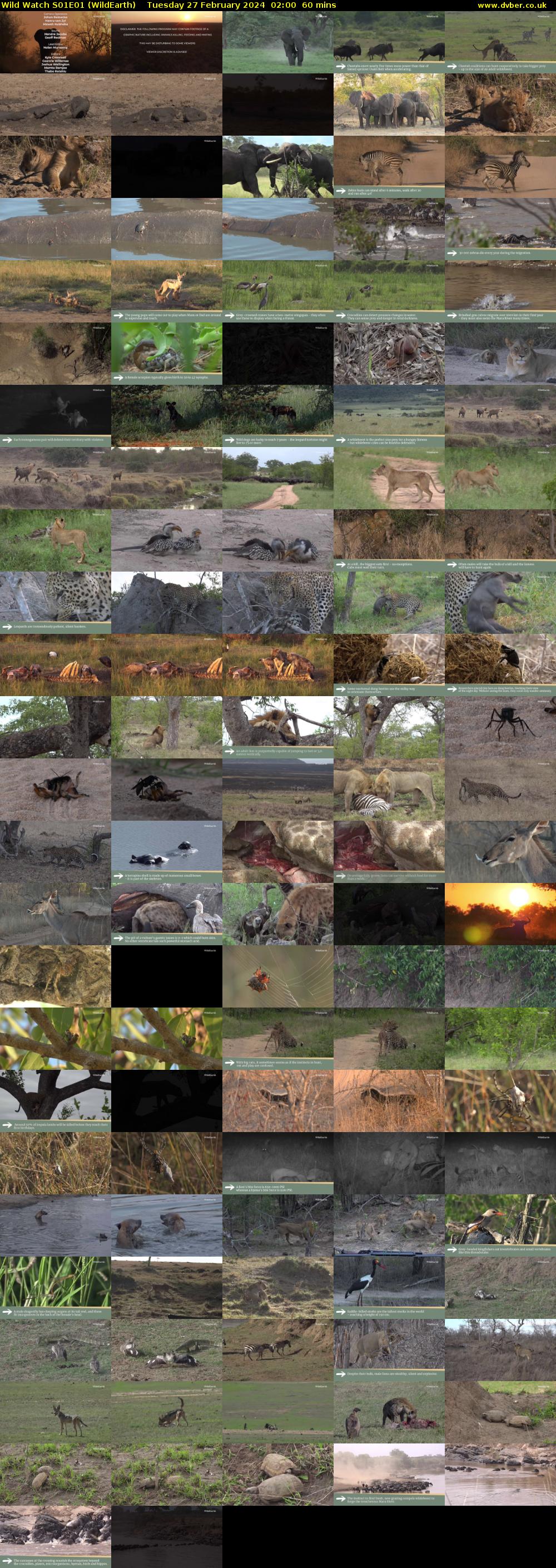 Wild Watch S01E01 (WildEarth) Tuesday 27 February 2024 02:00 - 03:00